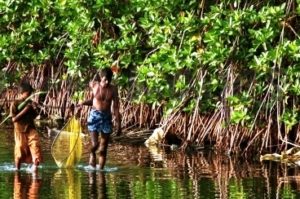 Fishermen and mangroves- now protected in Sri Lanka