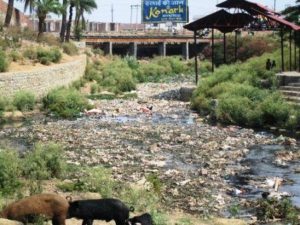 Dying Harmu Rivulet... encroachments are being removed to save this water source