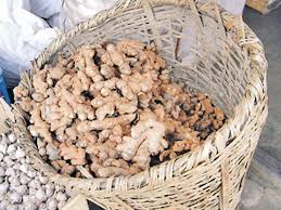 India ‘bans’ Nepalese ginger, says it’s Chinese in disguise!