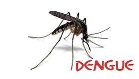 Aizawl : Dengue hub of Mizoram?