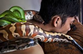 Missing man found in snake’s belly!