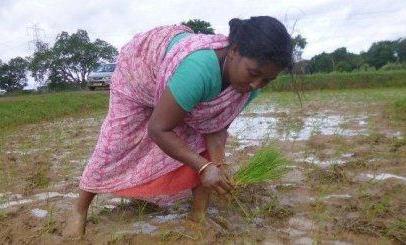 क्या 6000 रु किसानों का समस्याओं को हल करेगा ?