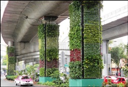 Vertical Garden Now In Bihar