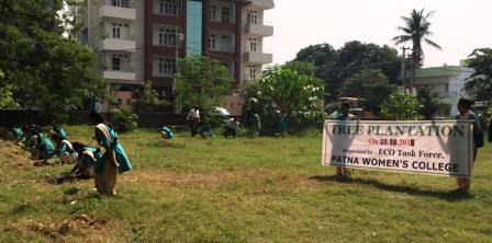 Eco Task Members planted 99 saplings