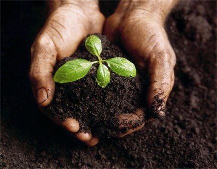 Life starts from the soil and ends into the soil