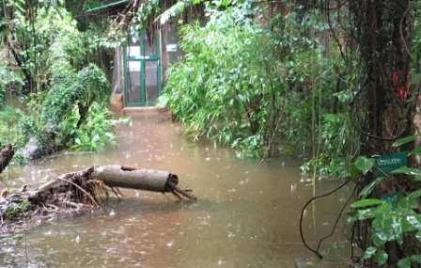 Water rising, but people hopeful in Flooded Patna